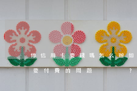 停信用卡要錢嗎怎么辦，如何處理停信用卡需要付費的問題？